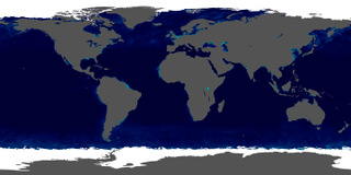 Illustration for article titled The Secrets Behind the Most Famous Earth Image of All Time